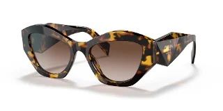 VAU6S1 Honey Havana