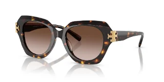 201613 Brown Tortoise