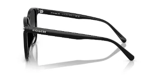 Coach Sunglasses HC8413BD