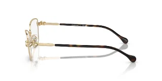Swarovski Eyeglasses SK1006