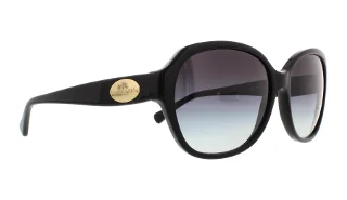 Coach Sunglasses HC8150