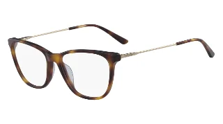 240 Soft Tortoise