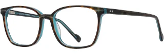 C04 Tortoise / Teal