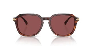 Coach Sunglasses HC8383U