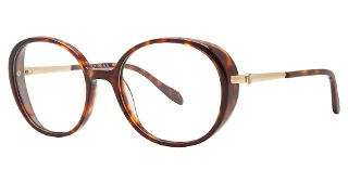 024 Tortoise