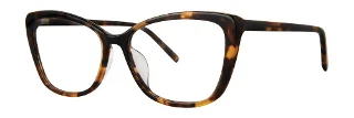 Tortoise