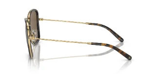 Tory Burch Sunglasses TY6101