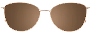 Easyclip Eyeglasses EC534