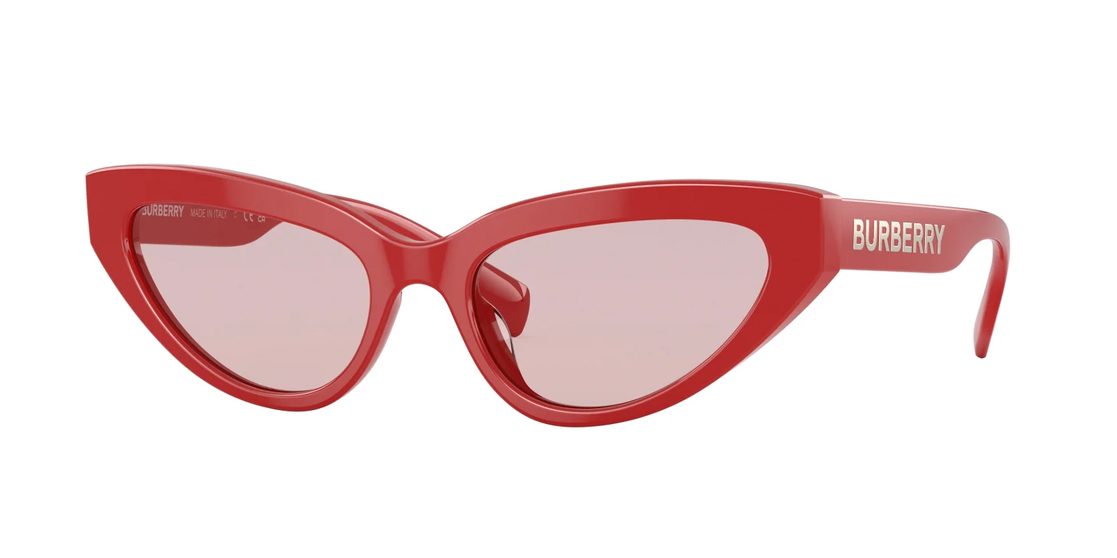 Burberry Sunglasses BE4373U