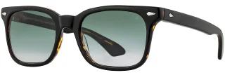 C03 Black Tortoise