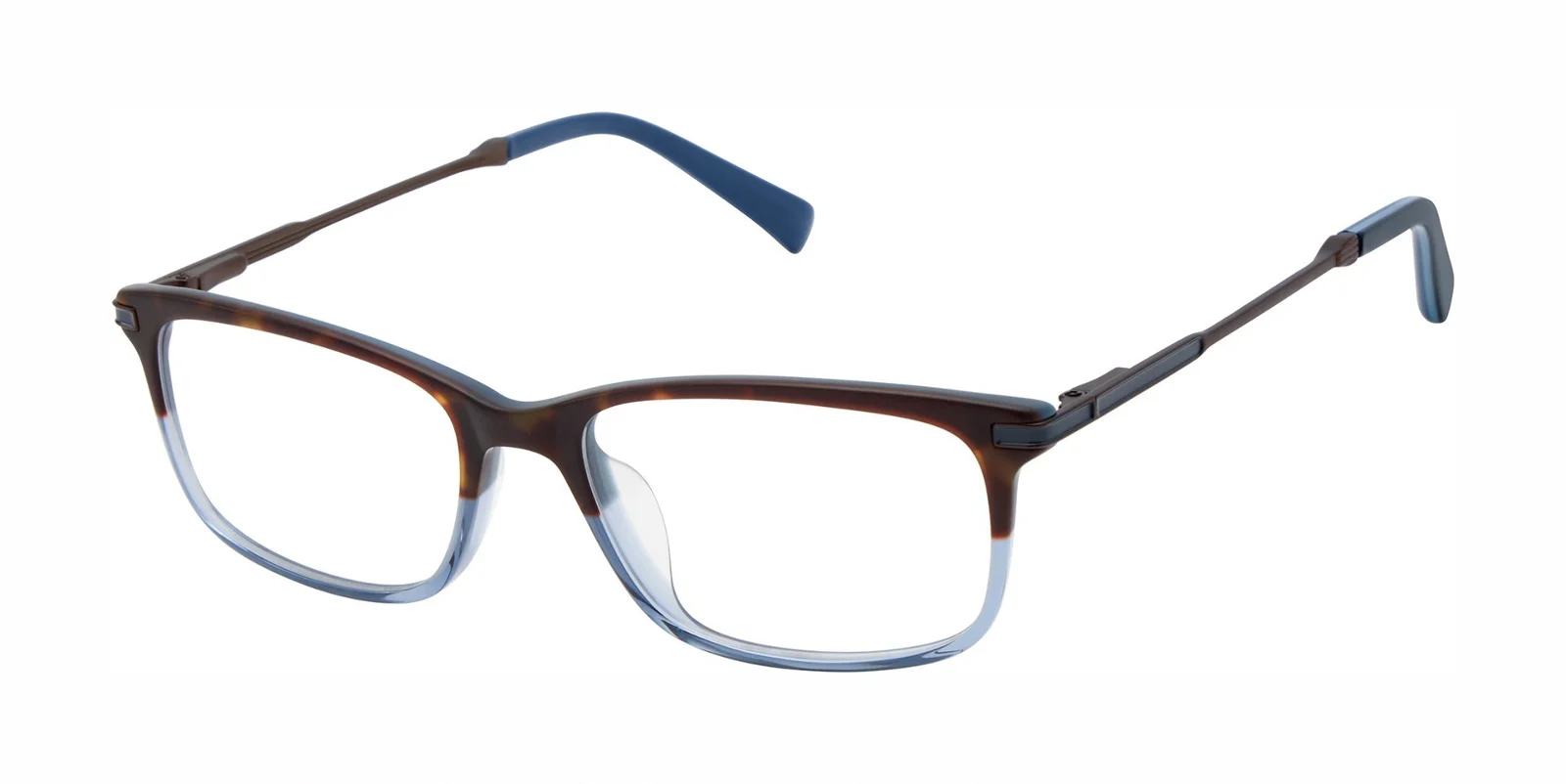 Ted Baker Eyeglasses TKB008