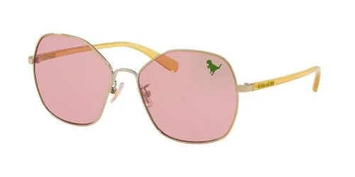 Coach Sunglasses HC7091
