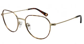 Glen Lane Eyeglasses Brush
