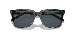Giorgio Armani Sunglasses AR8202U