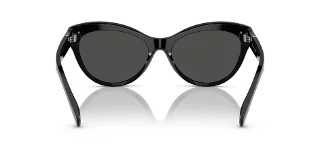 Ralph Lauren Sunglasses RL8213