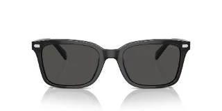 Coach Sunglasses HC8398U
