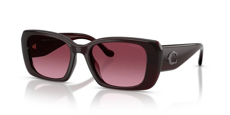Coach Sunglasses HC8435U