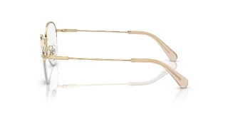 Swarovski Eyeglasses SK1004