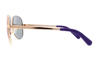 Michael Kors Sunglasses MK5004 Chelsea