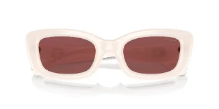 Coach Sunglasses HC8390U