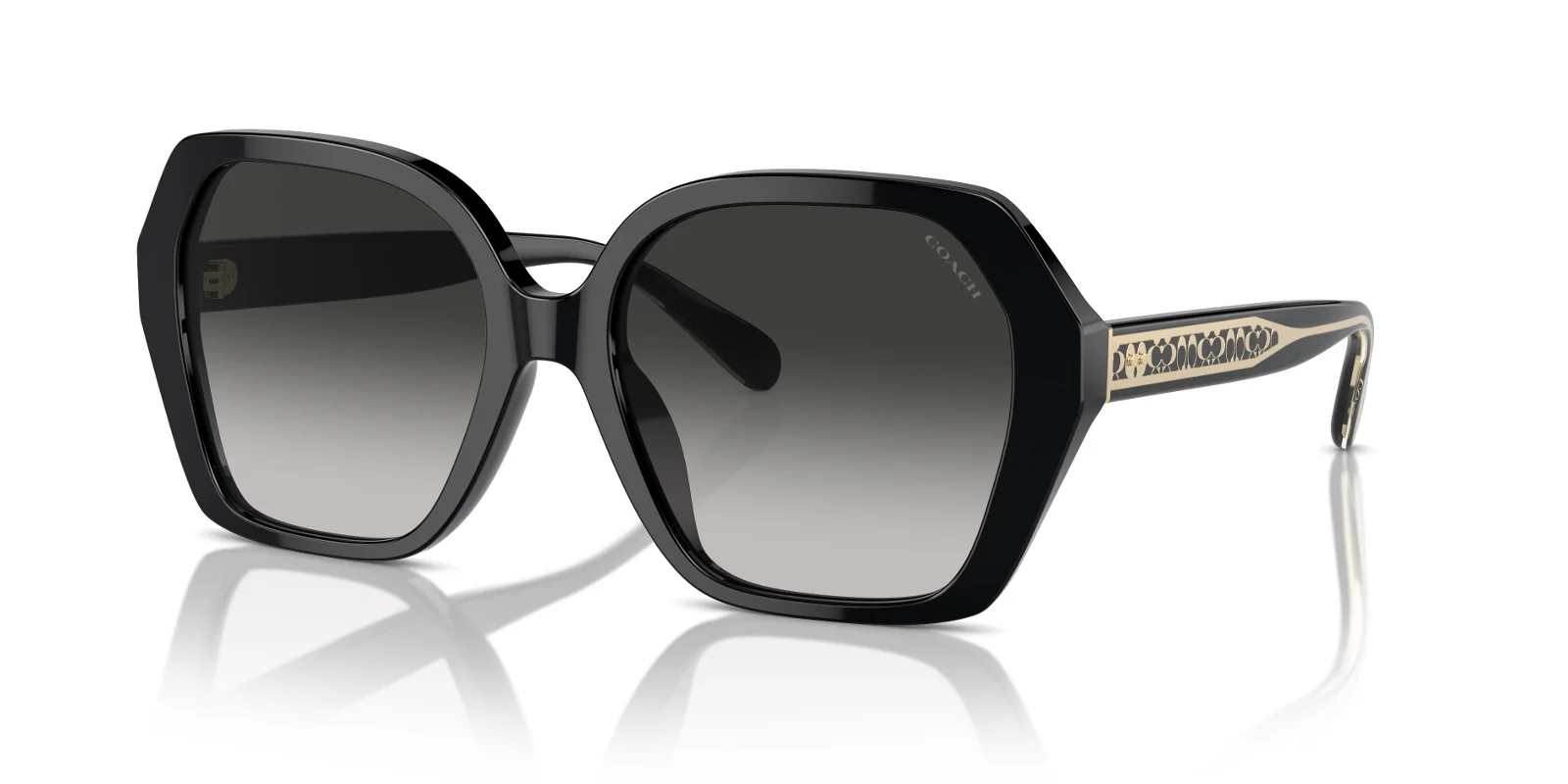 Coach Sunglasses HC8404U