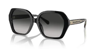 Coach Sunglasses HC8404U