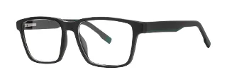 Modern Plastics II Eyeglasses BISHOP