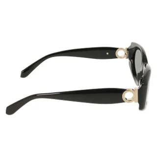 Salvatore Ferragamo Sunglasses SF2118S
