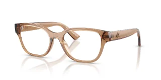 8396 Shiny Transparent Brown