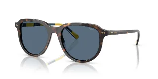 500380 Shiny Dark Havana