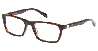 C03 Tortoise