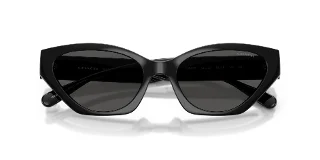 Coach Sunglasses HC8459U