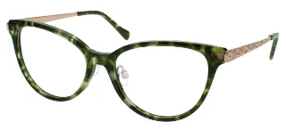 Green Tortoise
