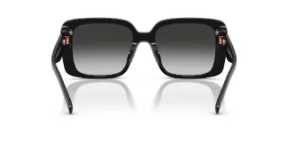 Coach Sunglasses HC8424U