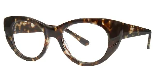 024 Tortoise