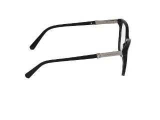 Harley Davidson Eyeglasses HD50075