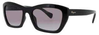 Salvatore Ferragamo Sunglasses 958S
