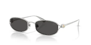 100587 Silver