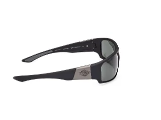 Harley Davidson Sunglasses HD0912X