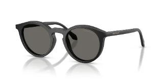 Giorgio Armani Sunglasses AR8230U