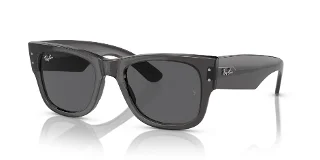 Ray Ban Sunglasses RB0840S