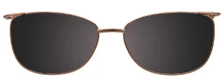 Takumi Eyeglasses TK993