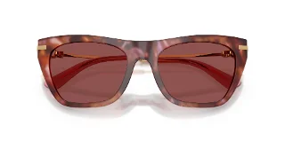 Dolce & Gabbana Sunglasses DG4511