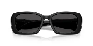 Coach Sunglasses HC8435U