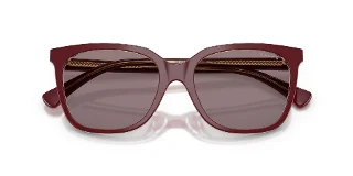 Ralph Sunglasses RA5343U