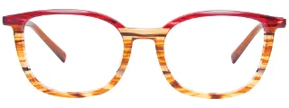 Easyclip Eyeglasses EC503