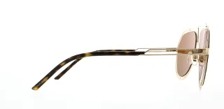 Dolce & Gabbana Sunglasses DG2176