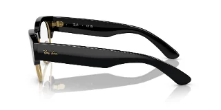 Ray Ban Eyeglasses RX0316V