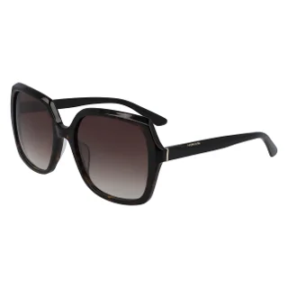 235 Dark Tortoise