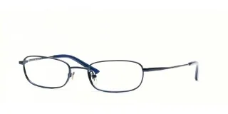 Ray Ban Jr Eyeglasses RY1013T